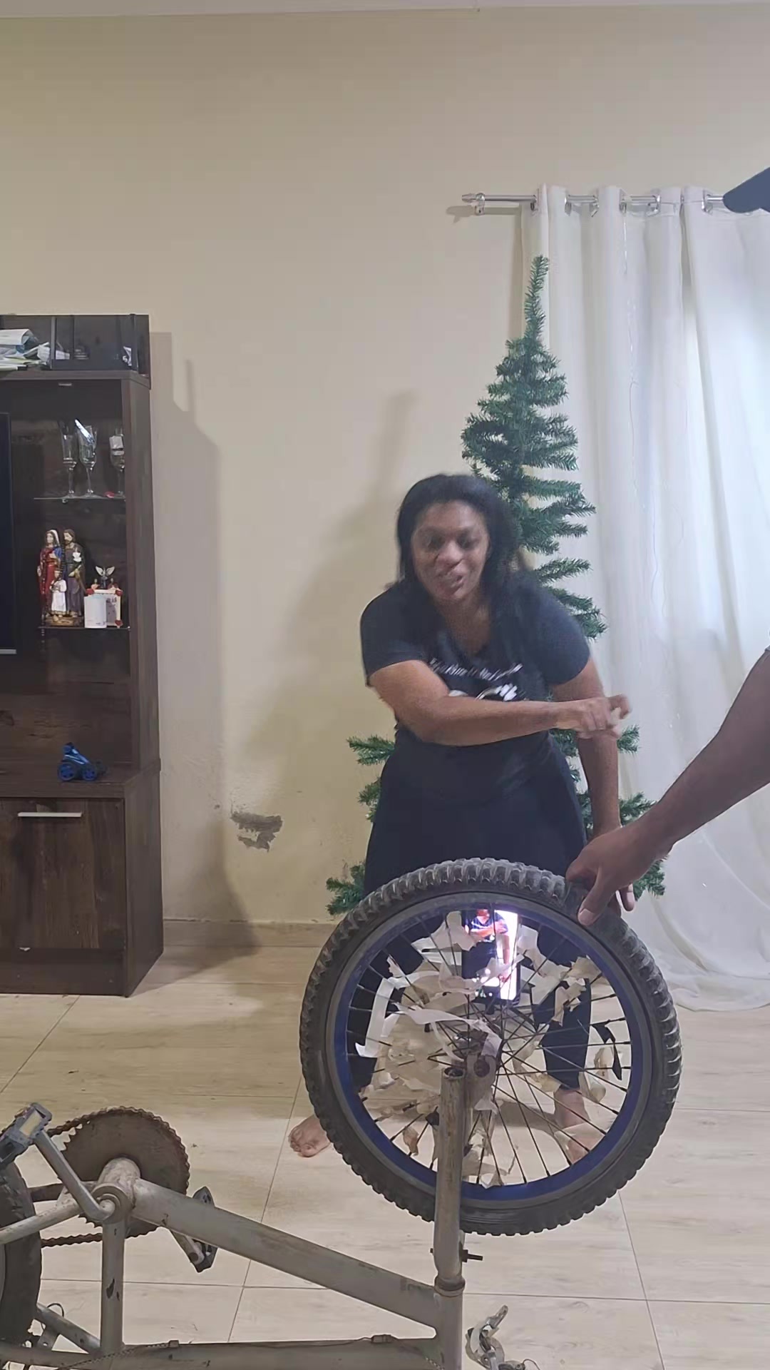 @Família dos Reis