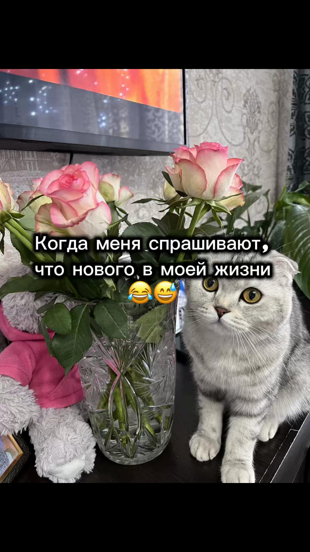 @𝐌𝐔𝐑𝐊𝐀