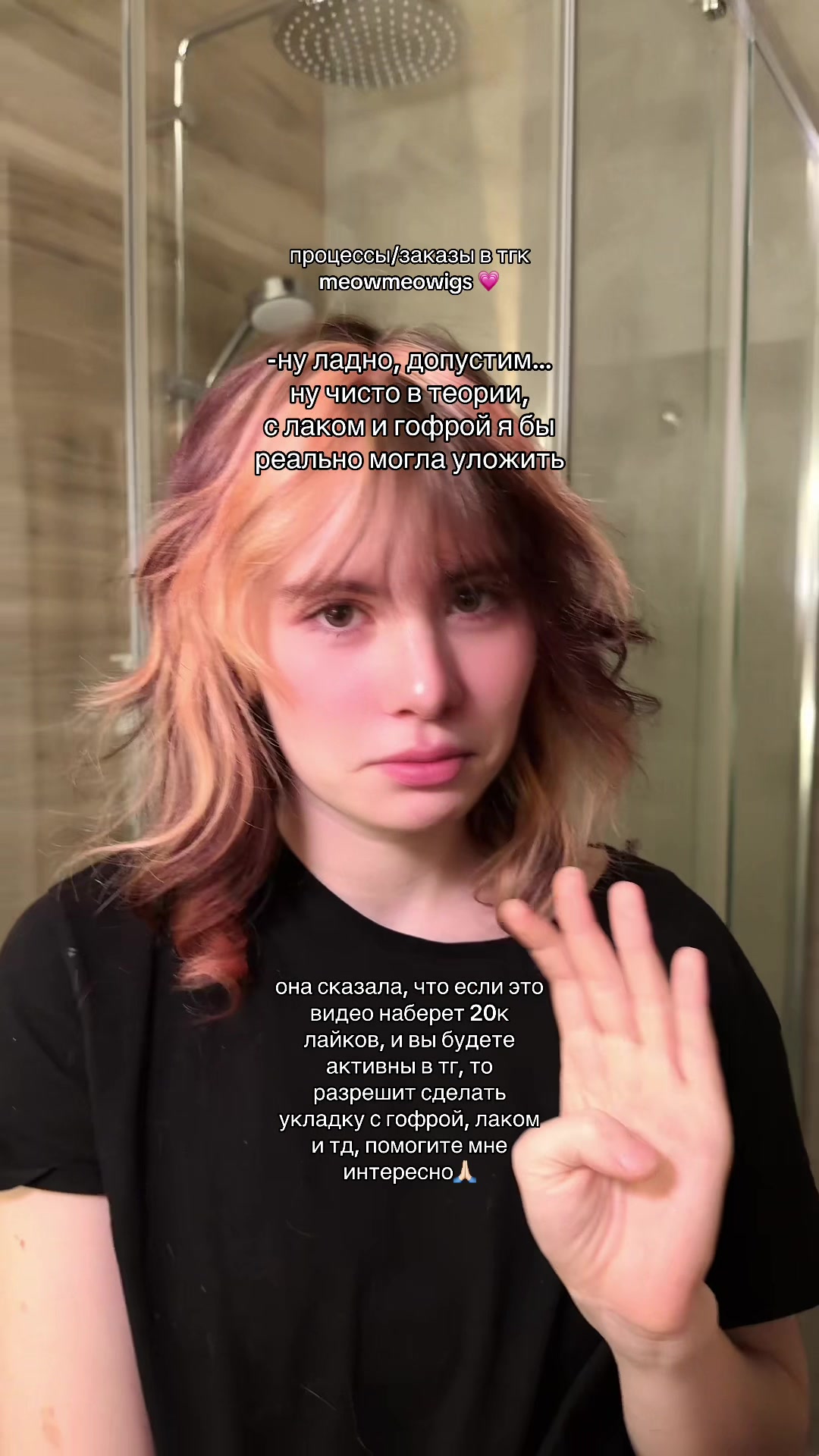 @тгк vivien & meowmulia˚✧₊