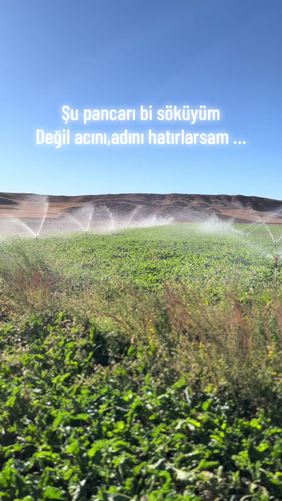 @HAYDAR