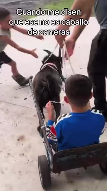 @luisfernandohcari