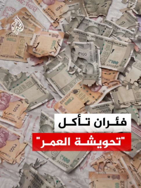 @الجزيرة