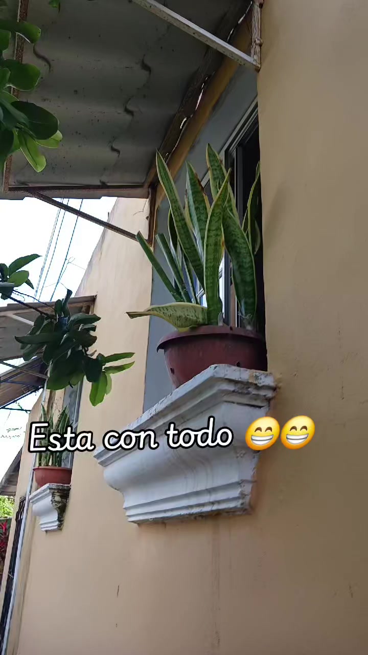 @francisca landaverde