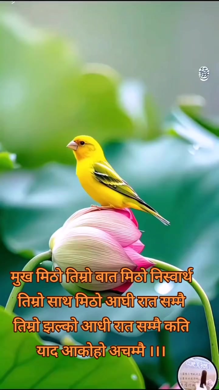 @तिम्रो मान्छे म 💫💫💫💖🇳🇵