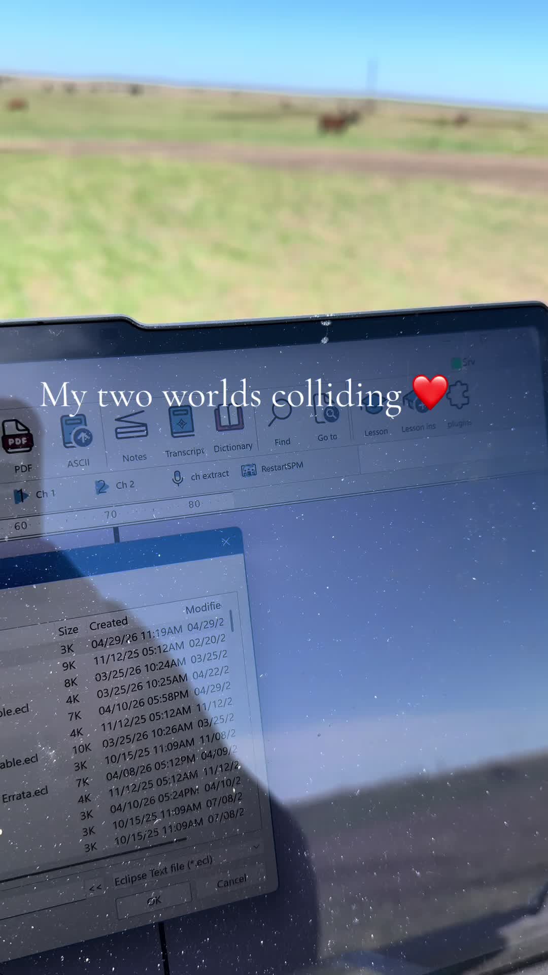 @Breelyncowan