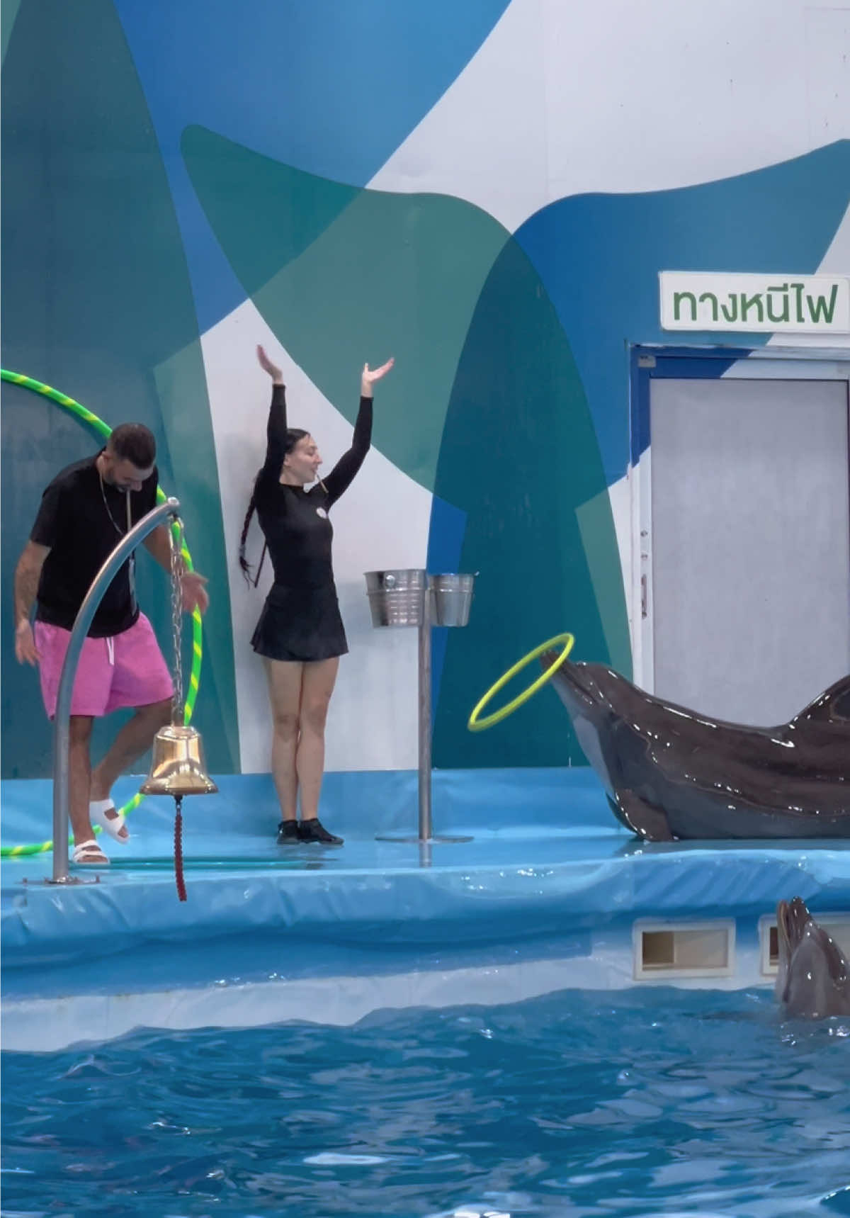 @Pattaya Dolphinarium