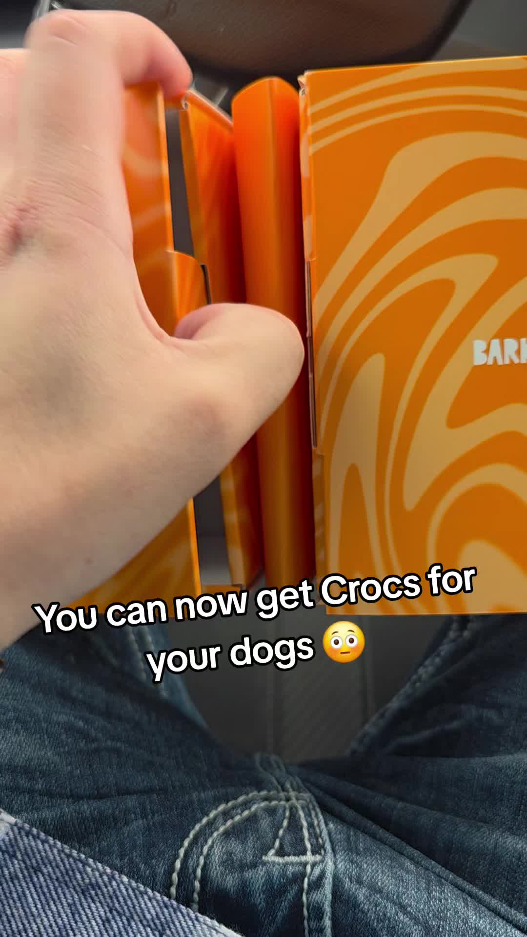 @NinjaRacoony