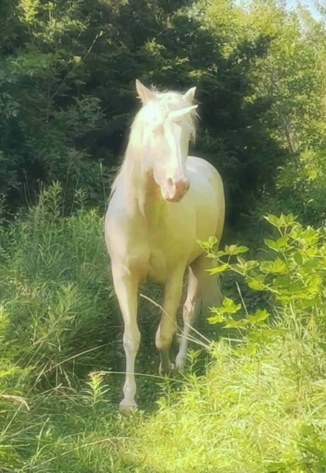 @Courtney 🦄