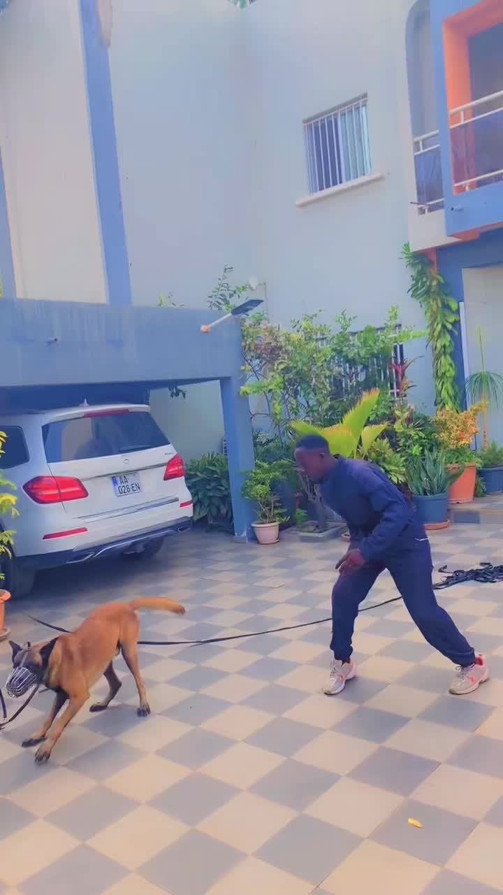 @G.I.C.N 🇸🇳🐾Maître Weuz🐕🦺