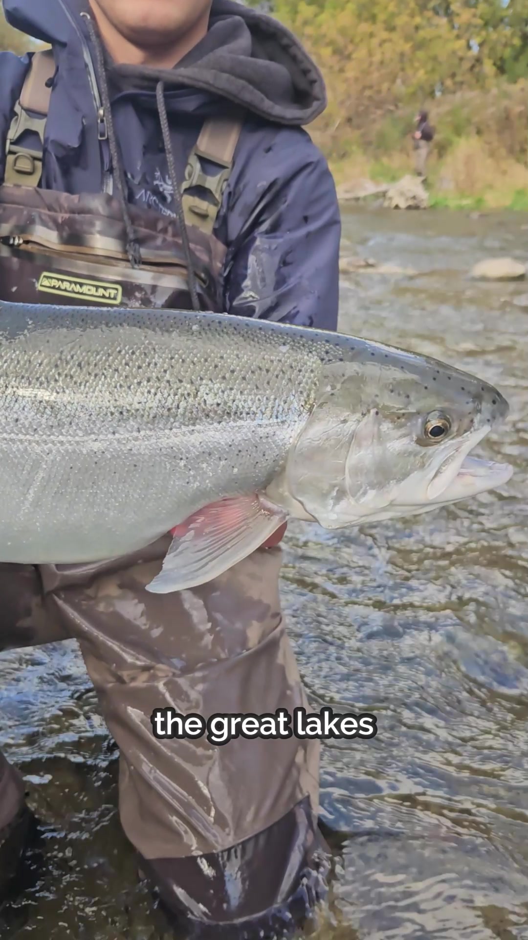 @FishingParadise