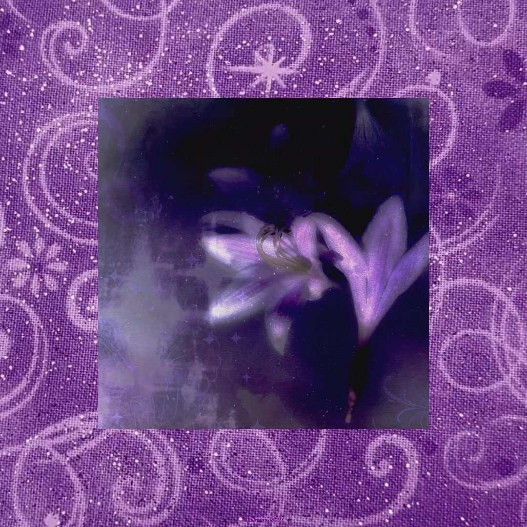 @๐ท๐๐ฃ๐๐๐ ๐๐๐๐๐๐๐ฐ๐ฟ
