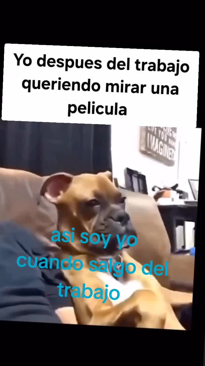 @el 🐅