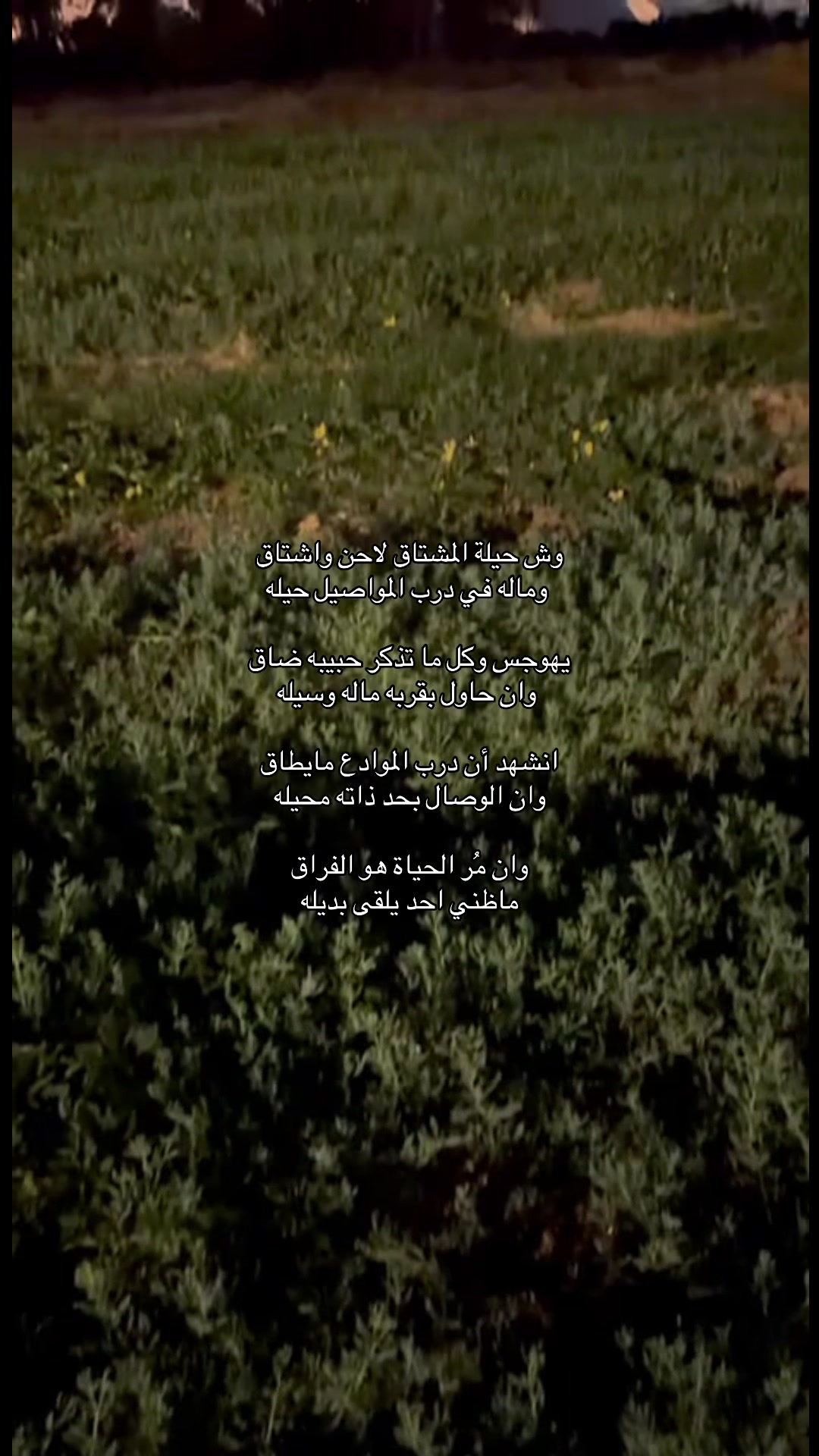 @بتتغير