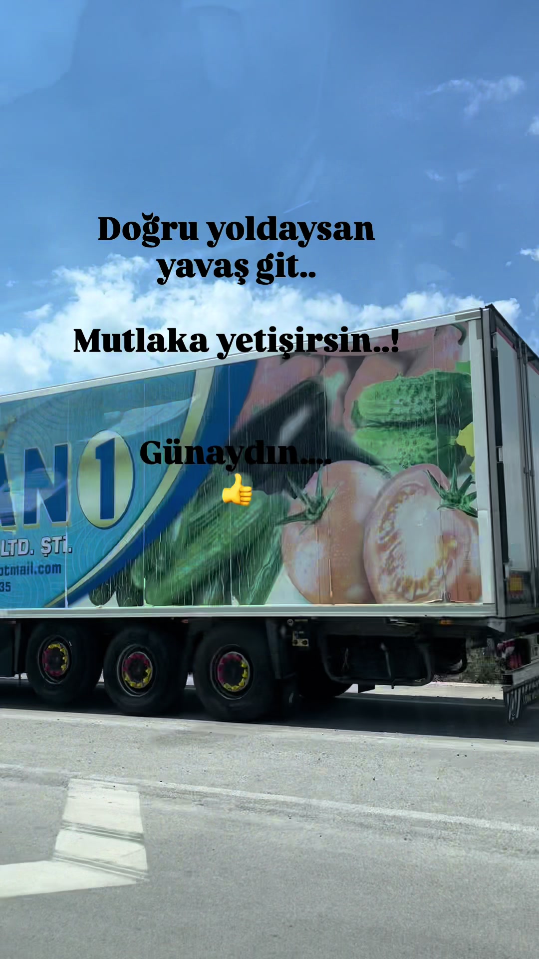 @reis_83_16