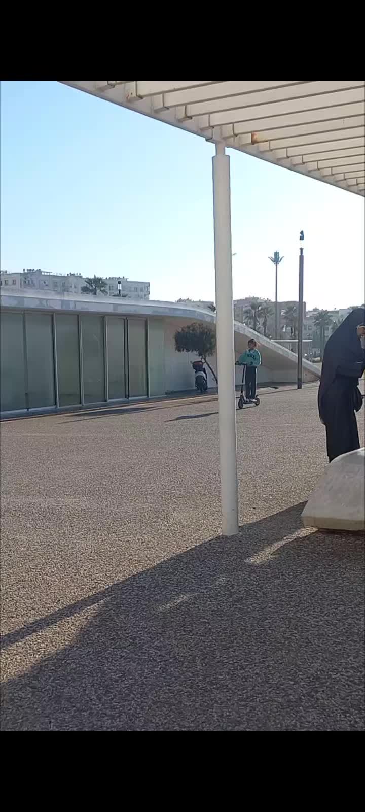 @زيزي عزيزة .