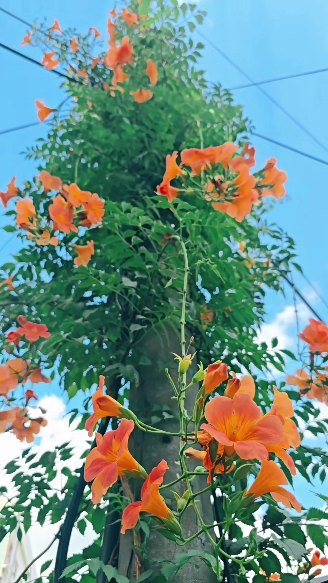 @산골남자tv