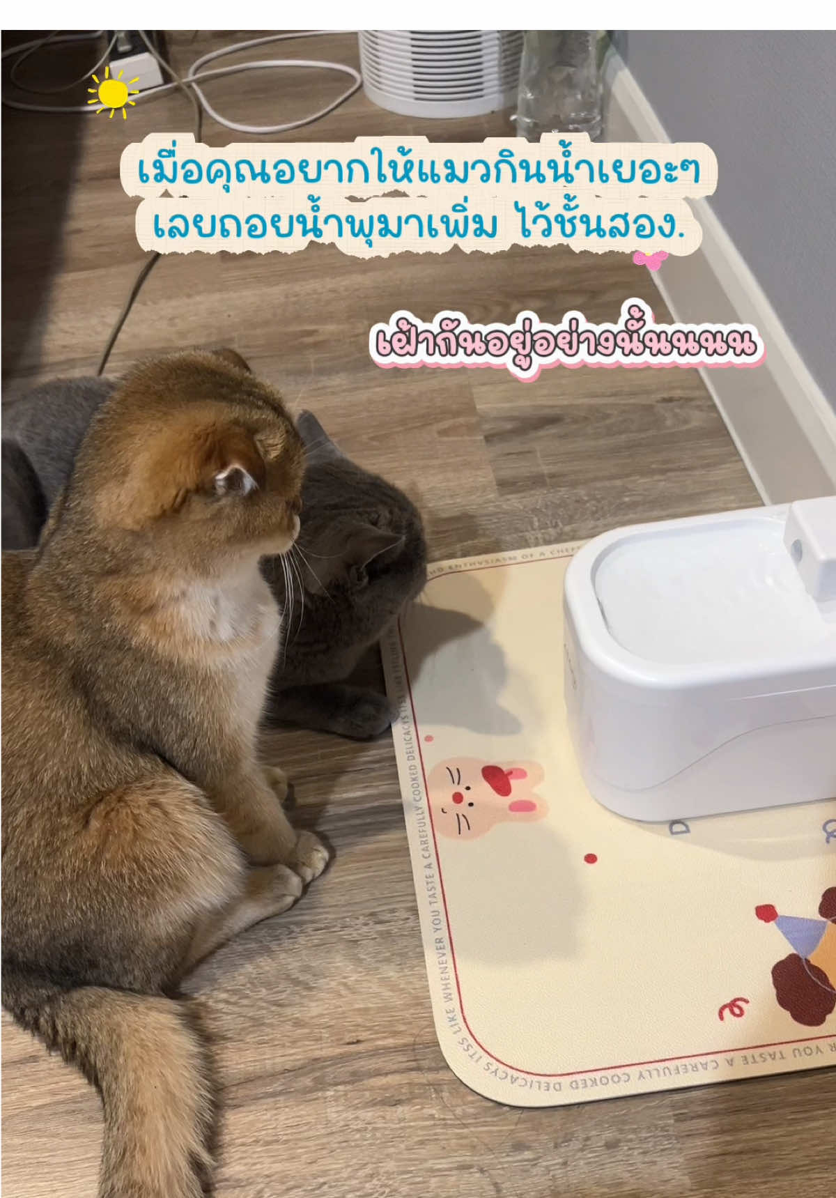 @ชิก้ามีน้องชื่อปลาเผา