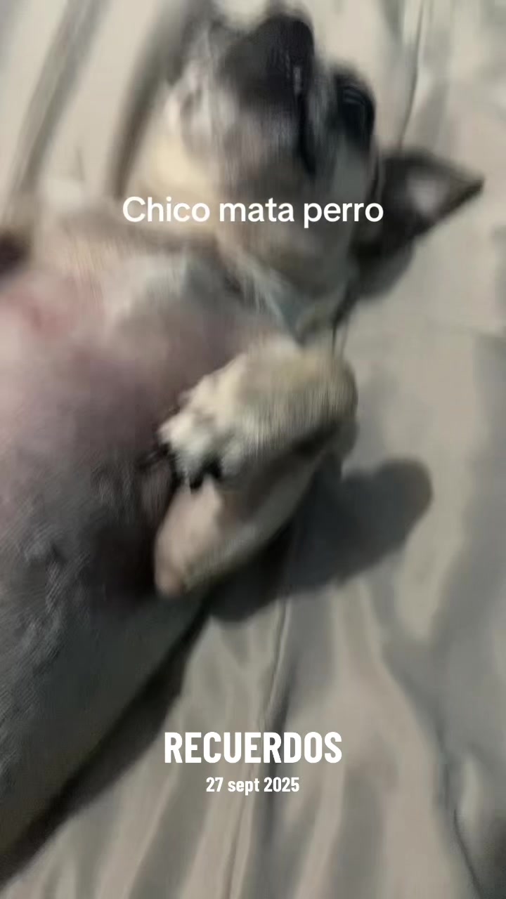 @damianbendi022