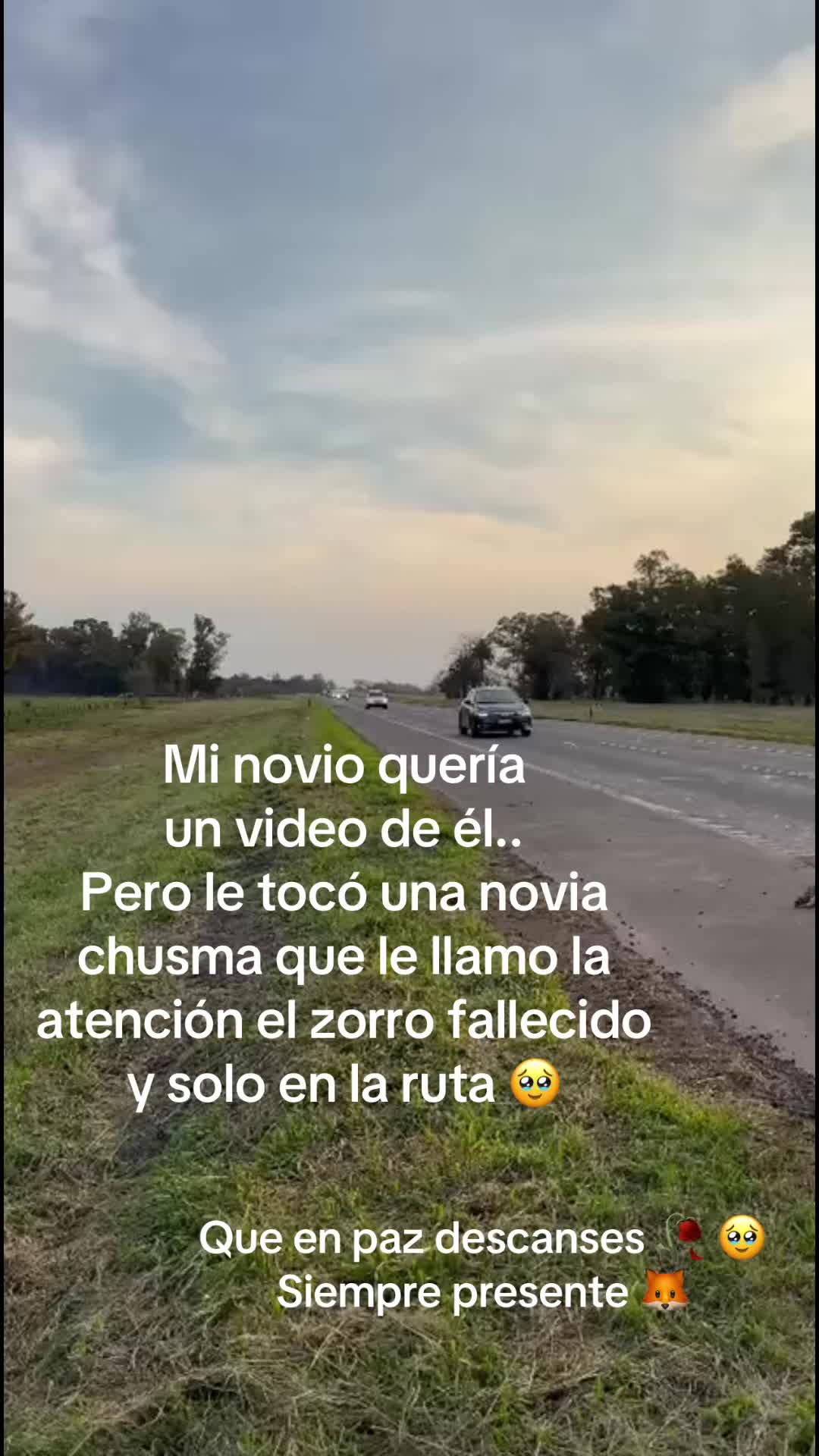 @Ro