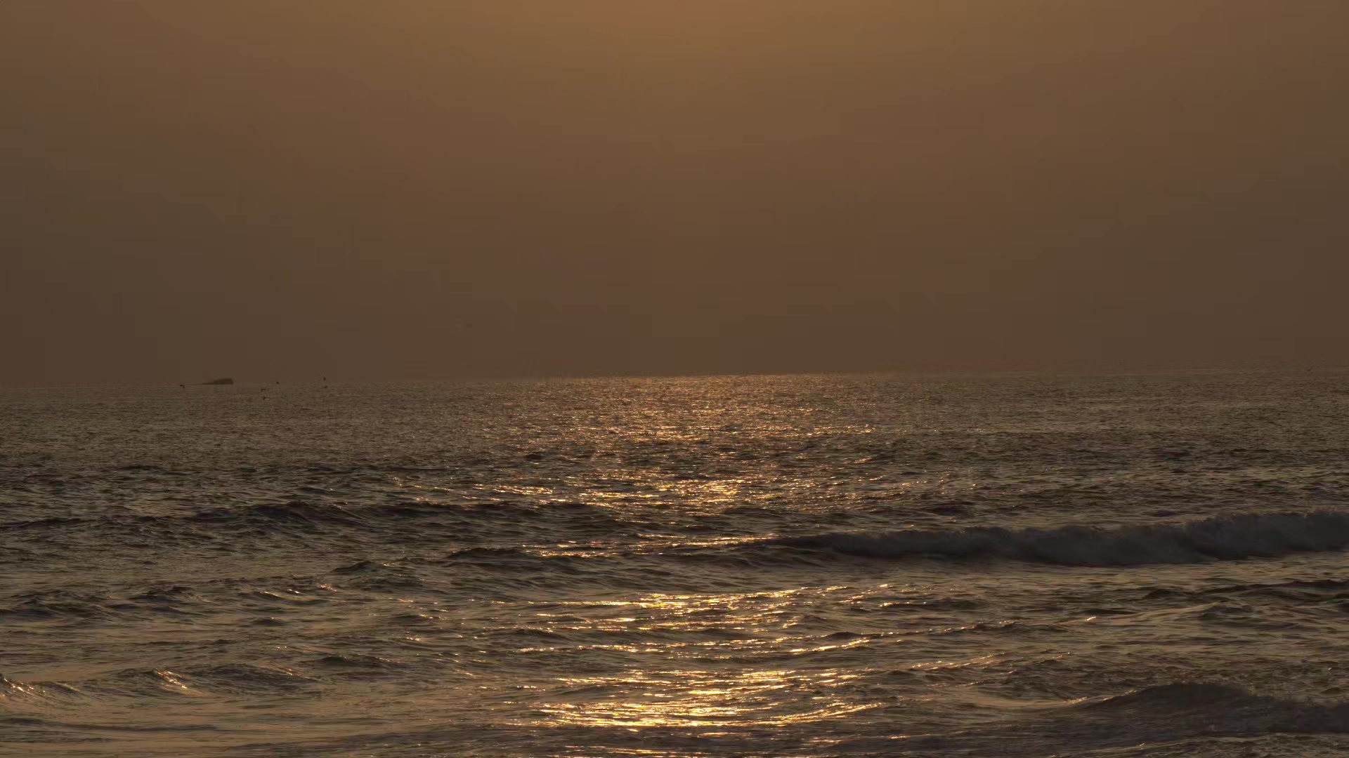 @Efra&iacute;n life 🏄🌊🌤️