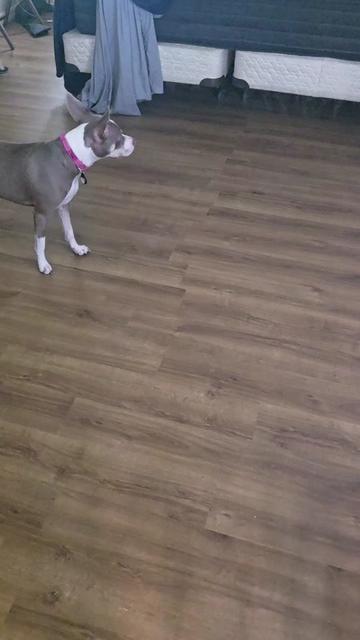 @Guiltypleasures