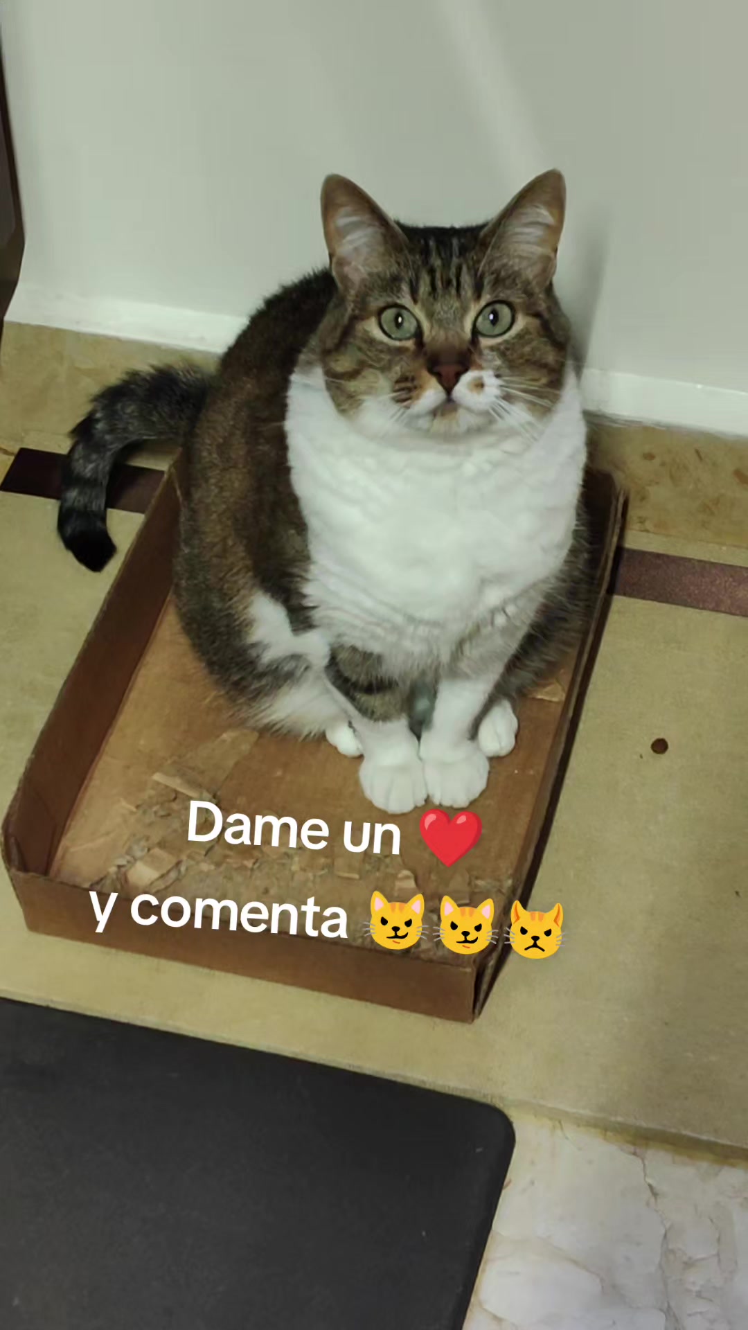 @Violeta Porras - Vio