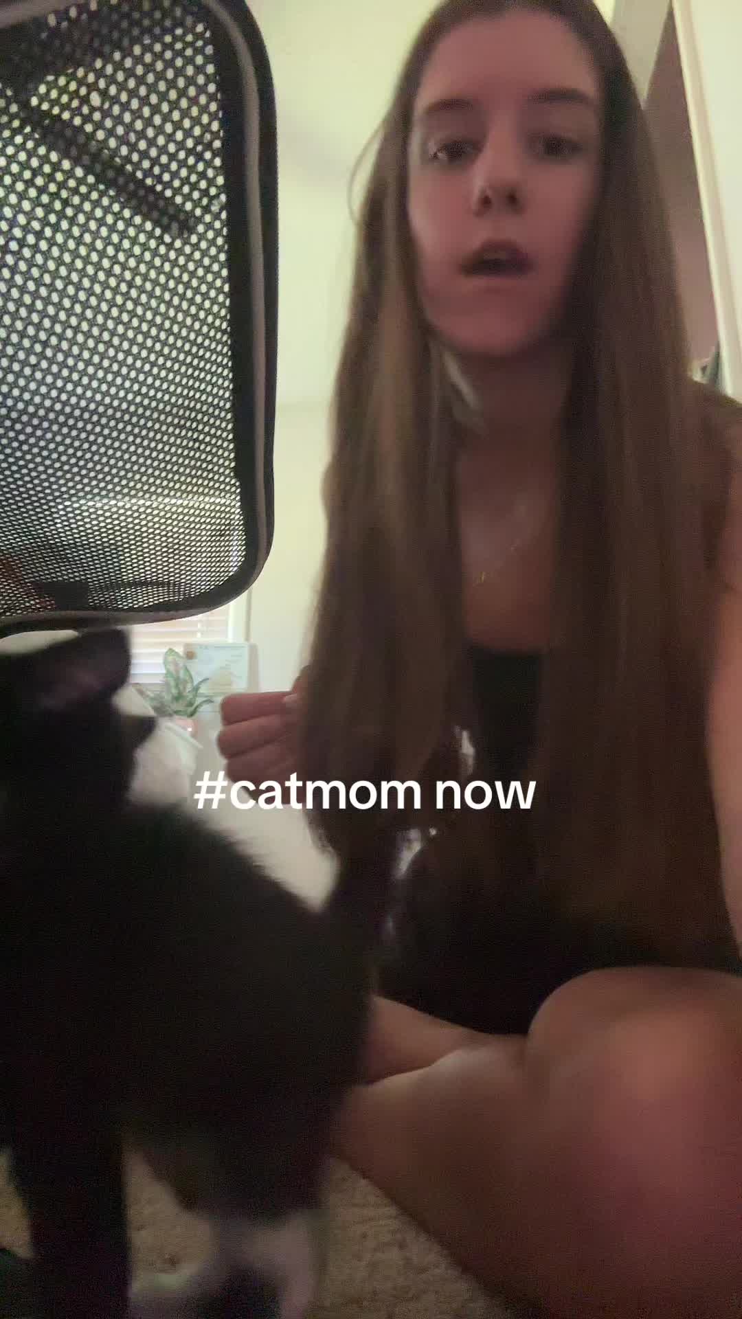 @alleespam