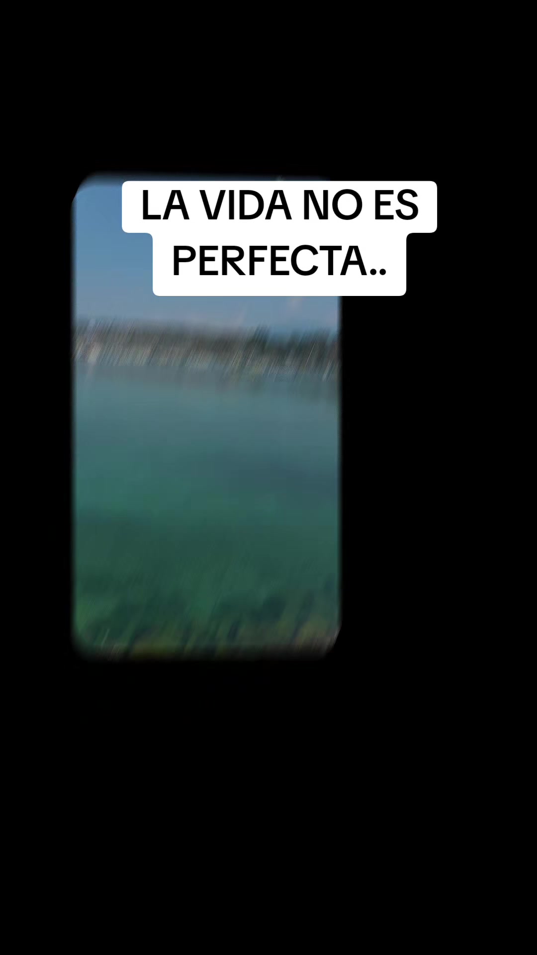 @Zulema Martínez Machado