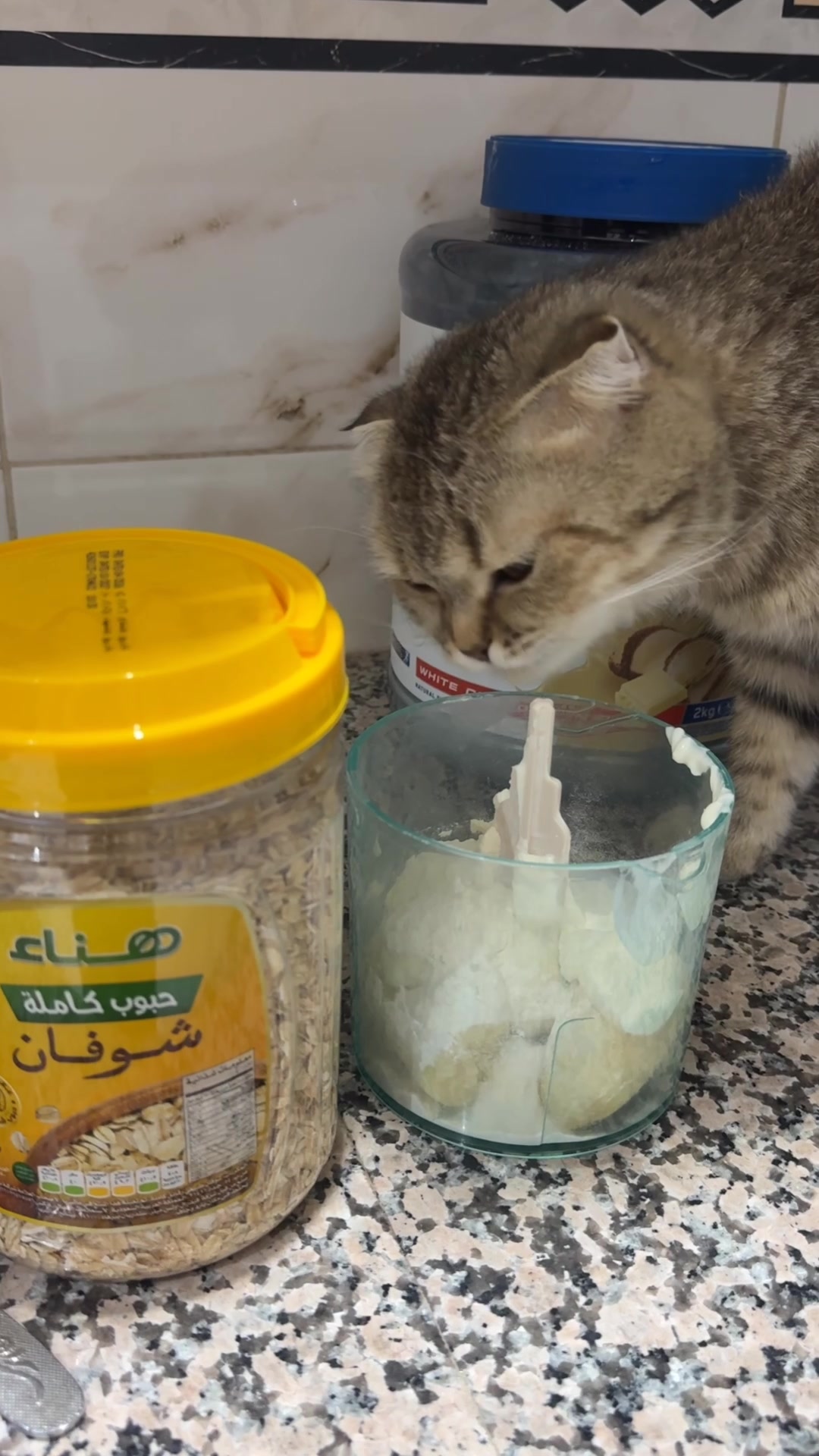 @ابتهال الشمري
