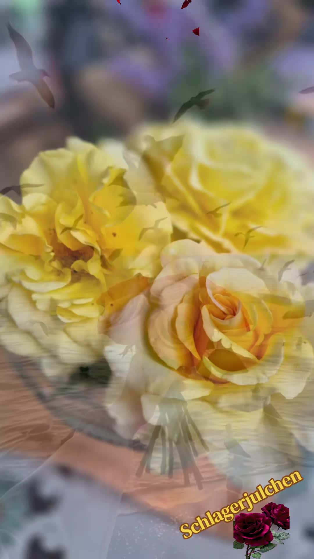 @โ๏ธ๏ธ๏ธ๐
๏ธ๐
ค๏ธ๐
๏ธ๐
๏ธ๐
๏ธ๐
๏ธ๐
๏ธโ๏ธ๏ธ๏ธ
