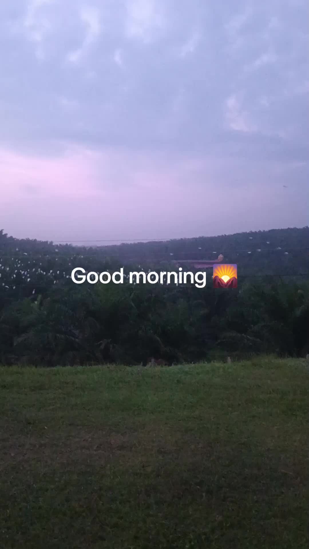 @👤