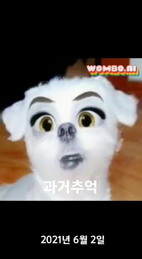 @๋์ฐ๐ถ๐