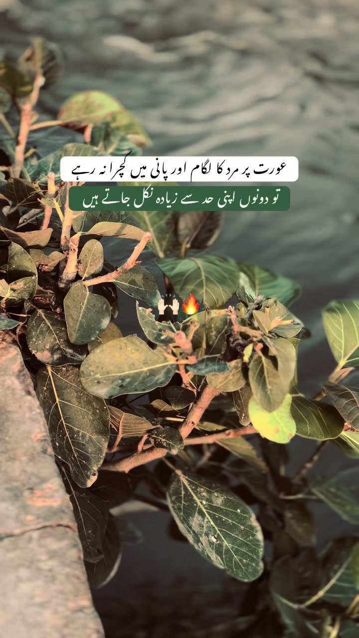 @icloud_40