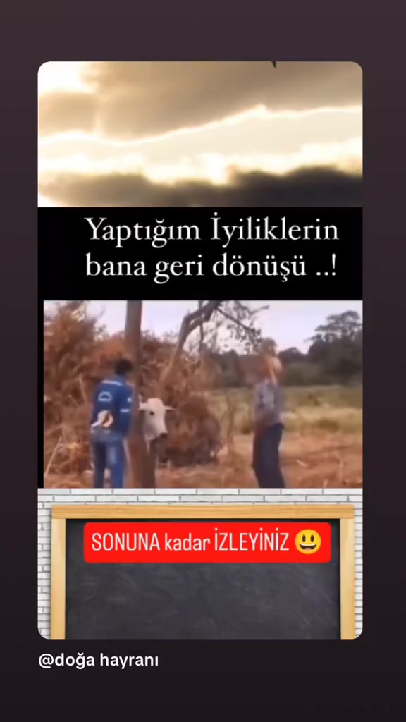 @doğa hayranı