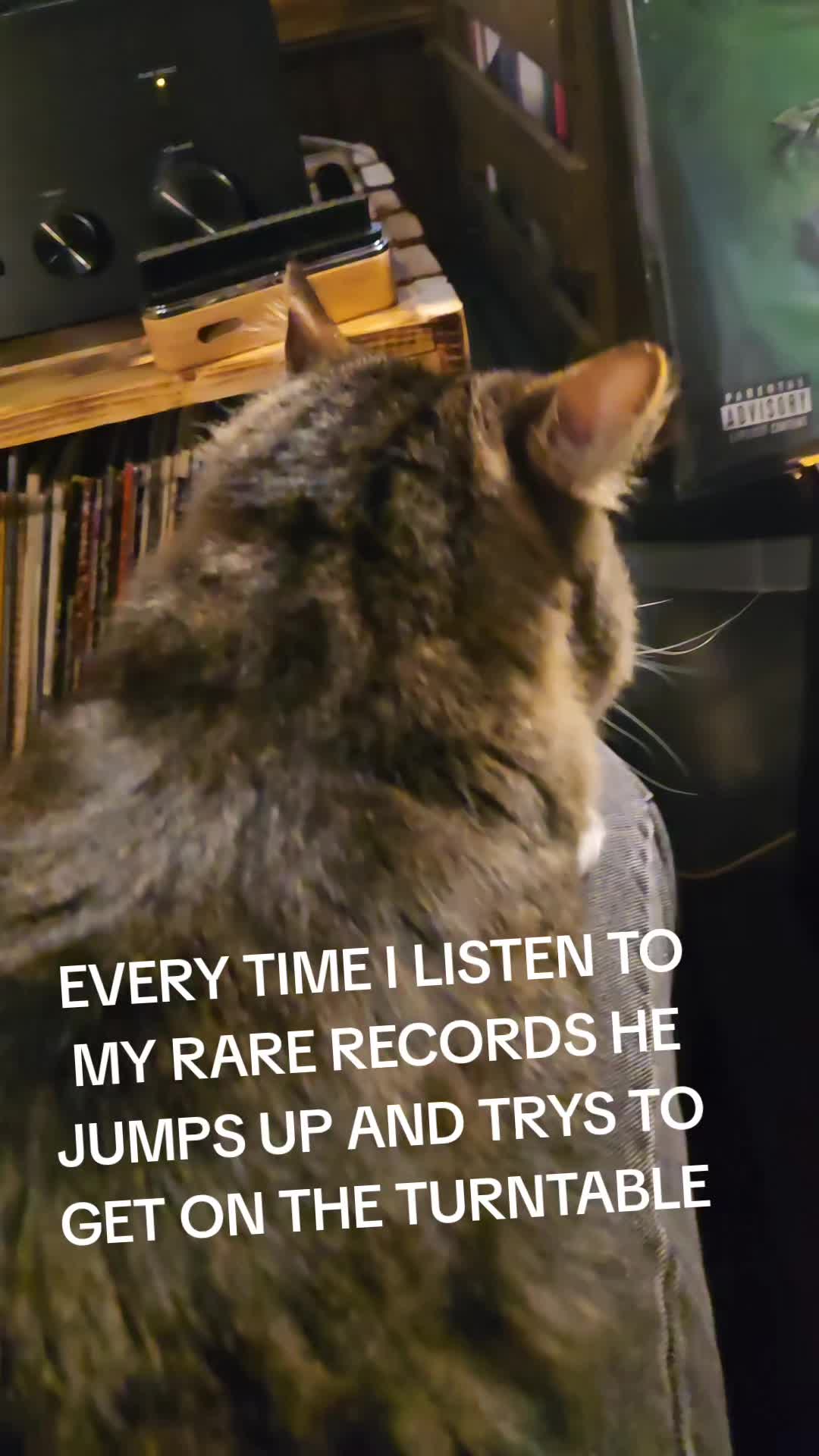 @Neverlife187