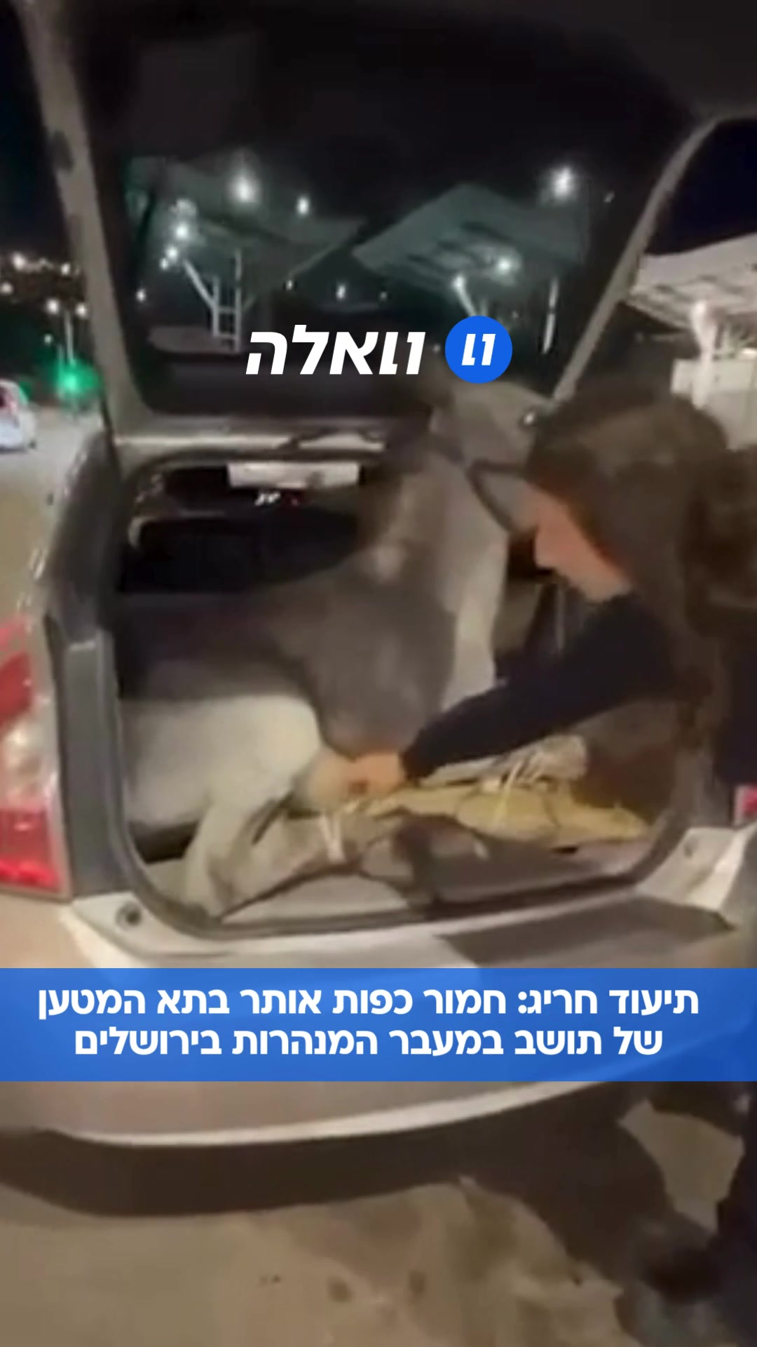@וואלה