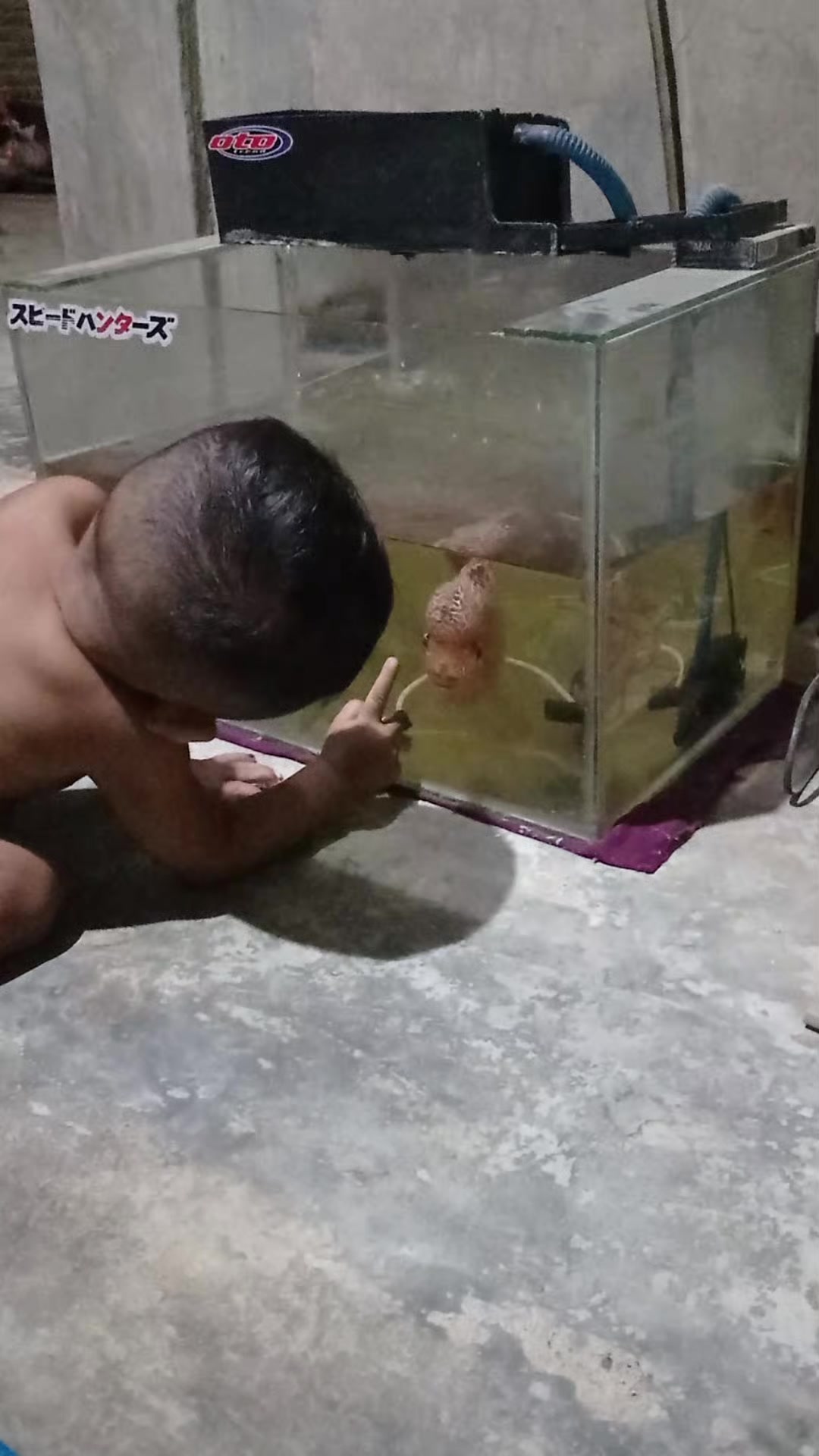 @Sri Wahyuni