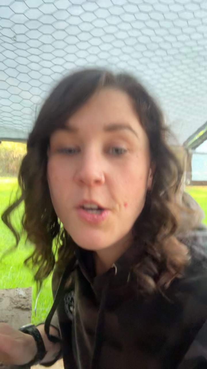 @Britt🦆
