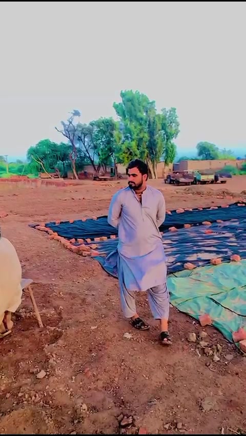 @Liaquat Khan 786