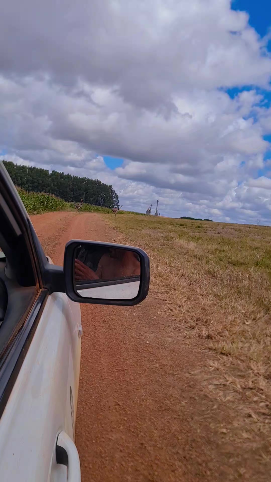 @mineiro do Norte 🧘♂️