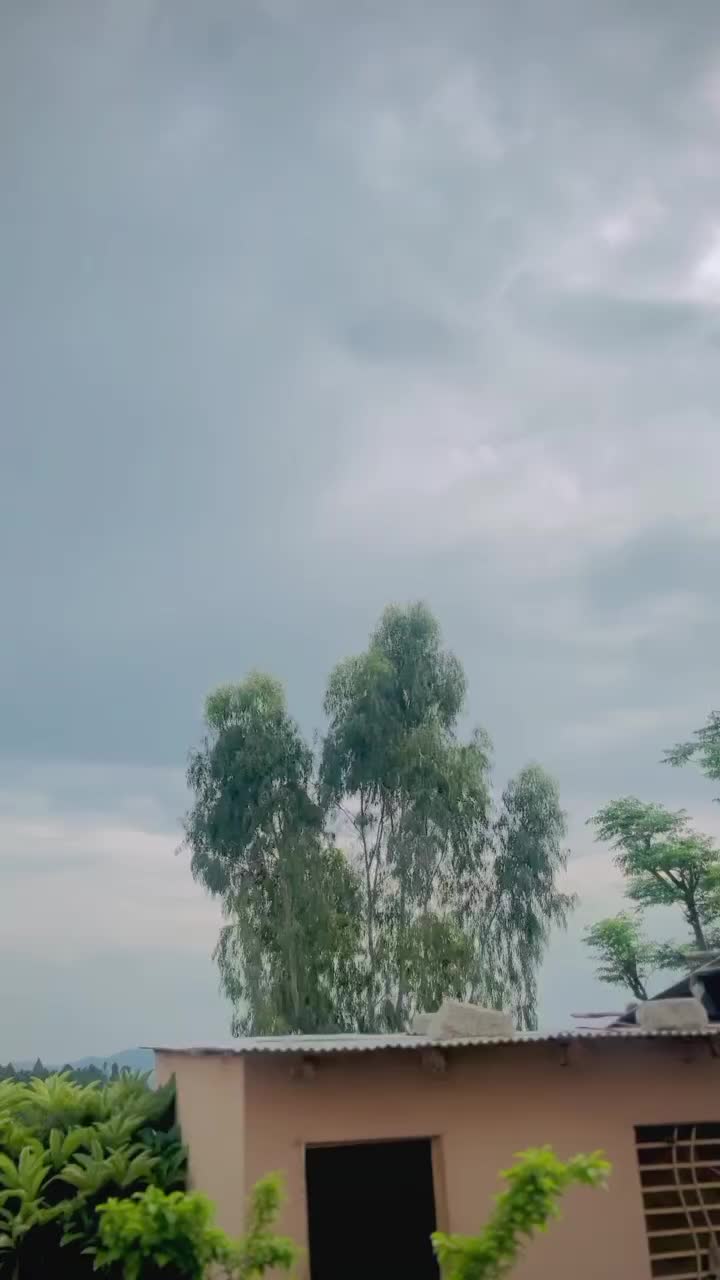 @𝐁𝐢ل𝐚𝐋 𝐑𝐚𝐅𝐞𝐞ق 🥂⚜️