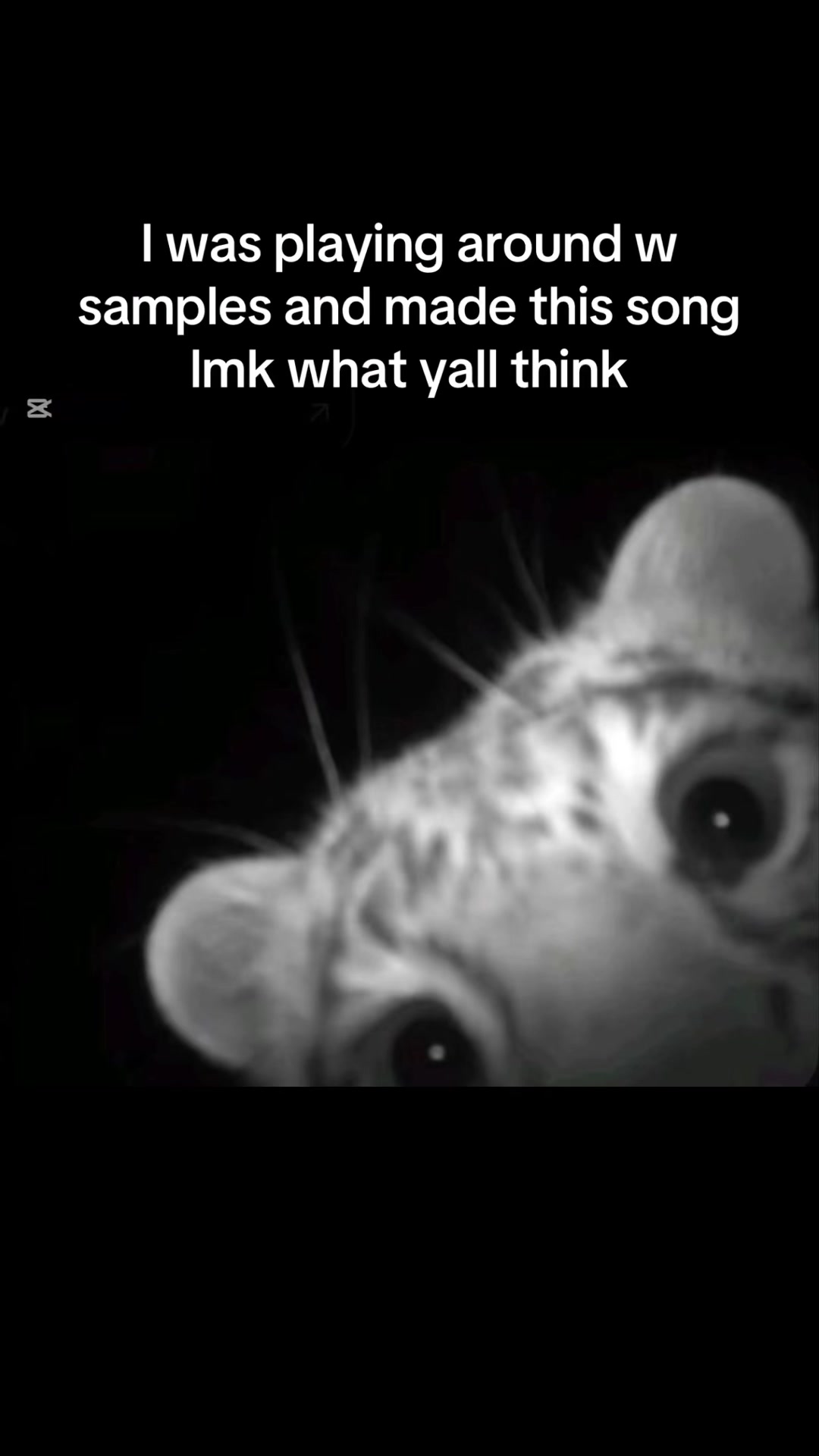 @Mak
