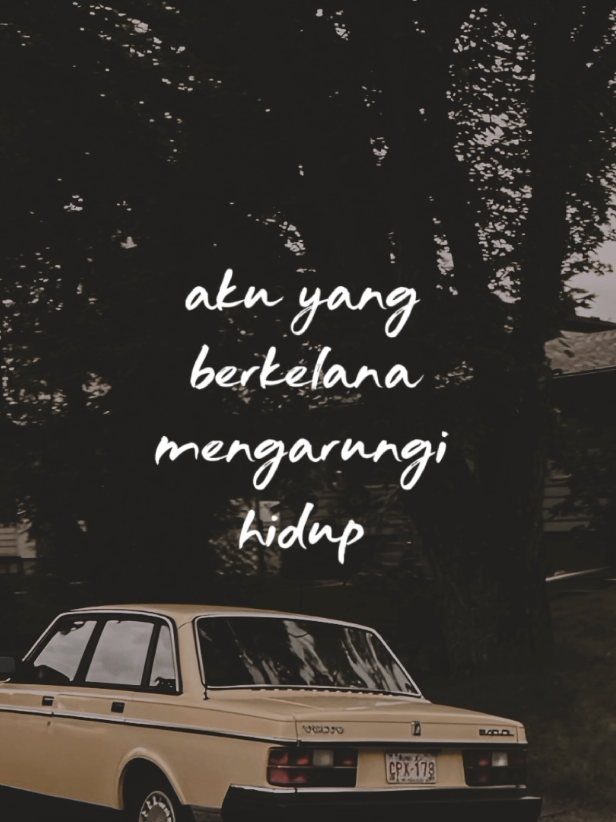 @myexpectation