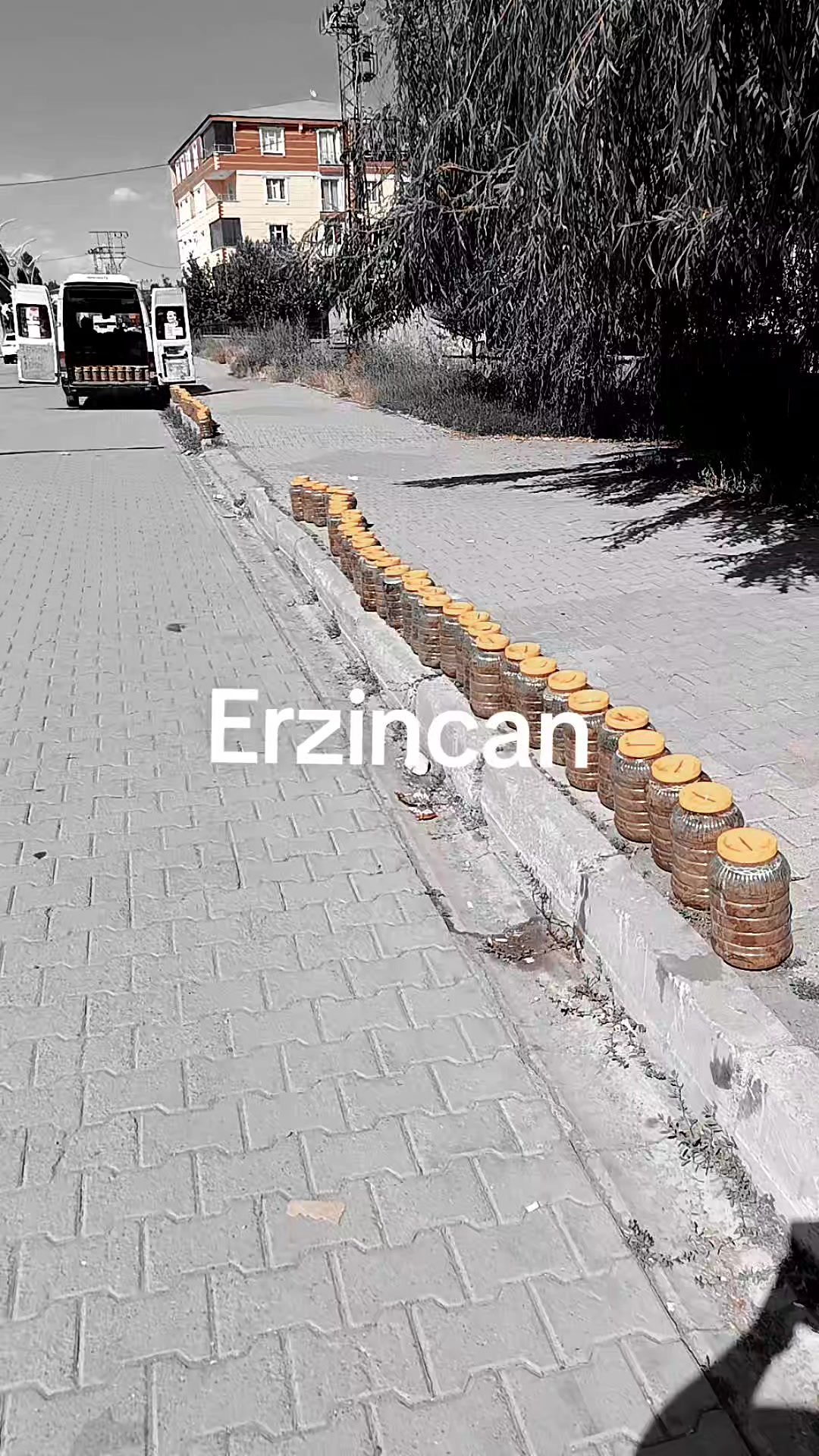 @DADALOĞLU