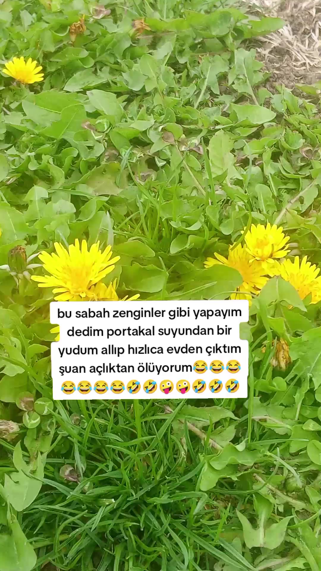 @🤍72sinem72🤍