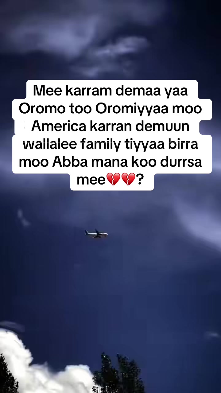 @TakkittiiAbbaadhoo❤️4💚3♥️0🌳