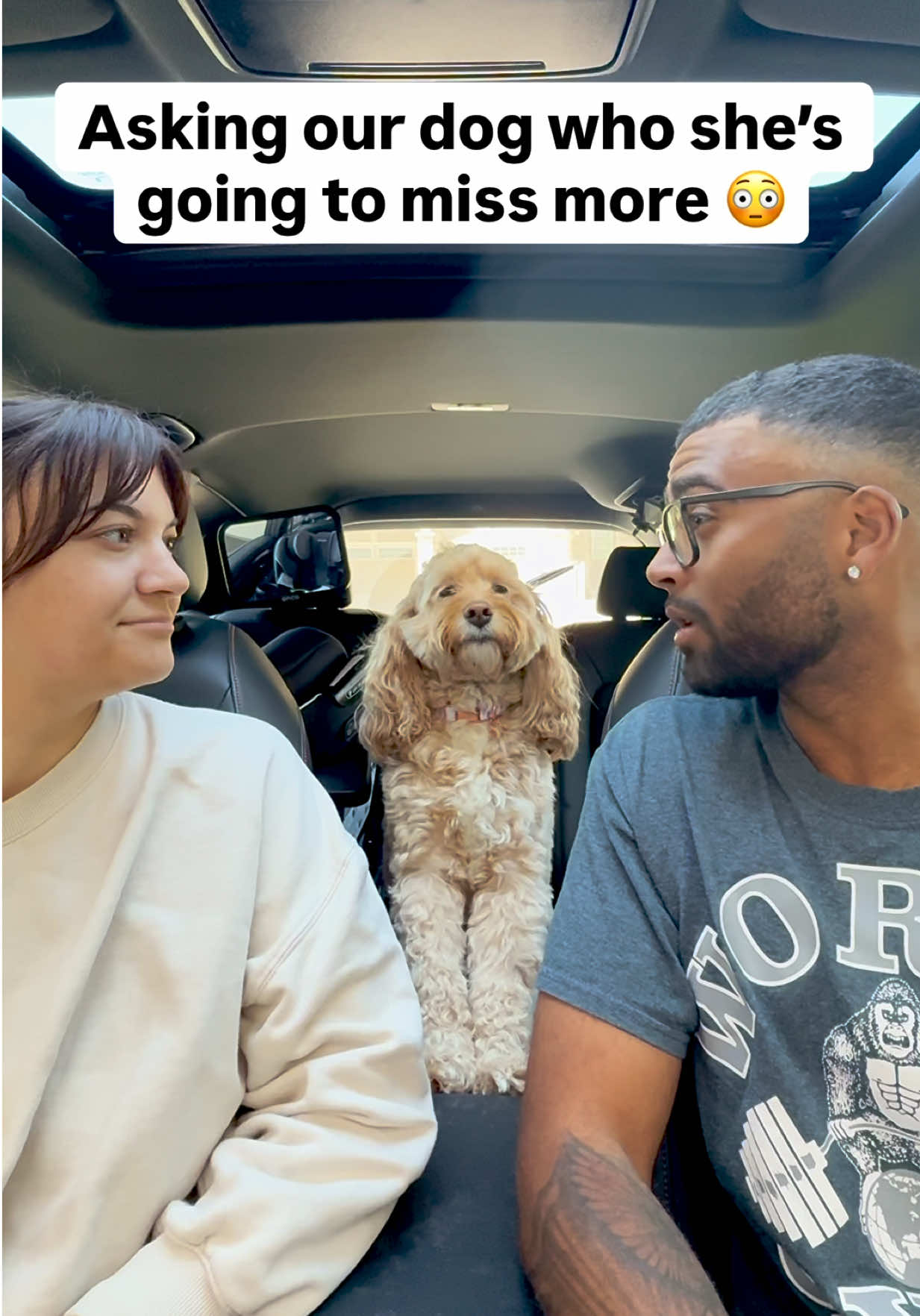 @LunaTheMiniCockapoo