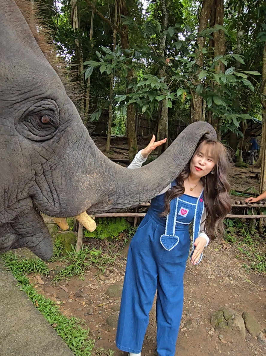 @ควาญแดง พลายภูพิงค์