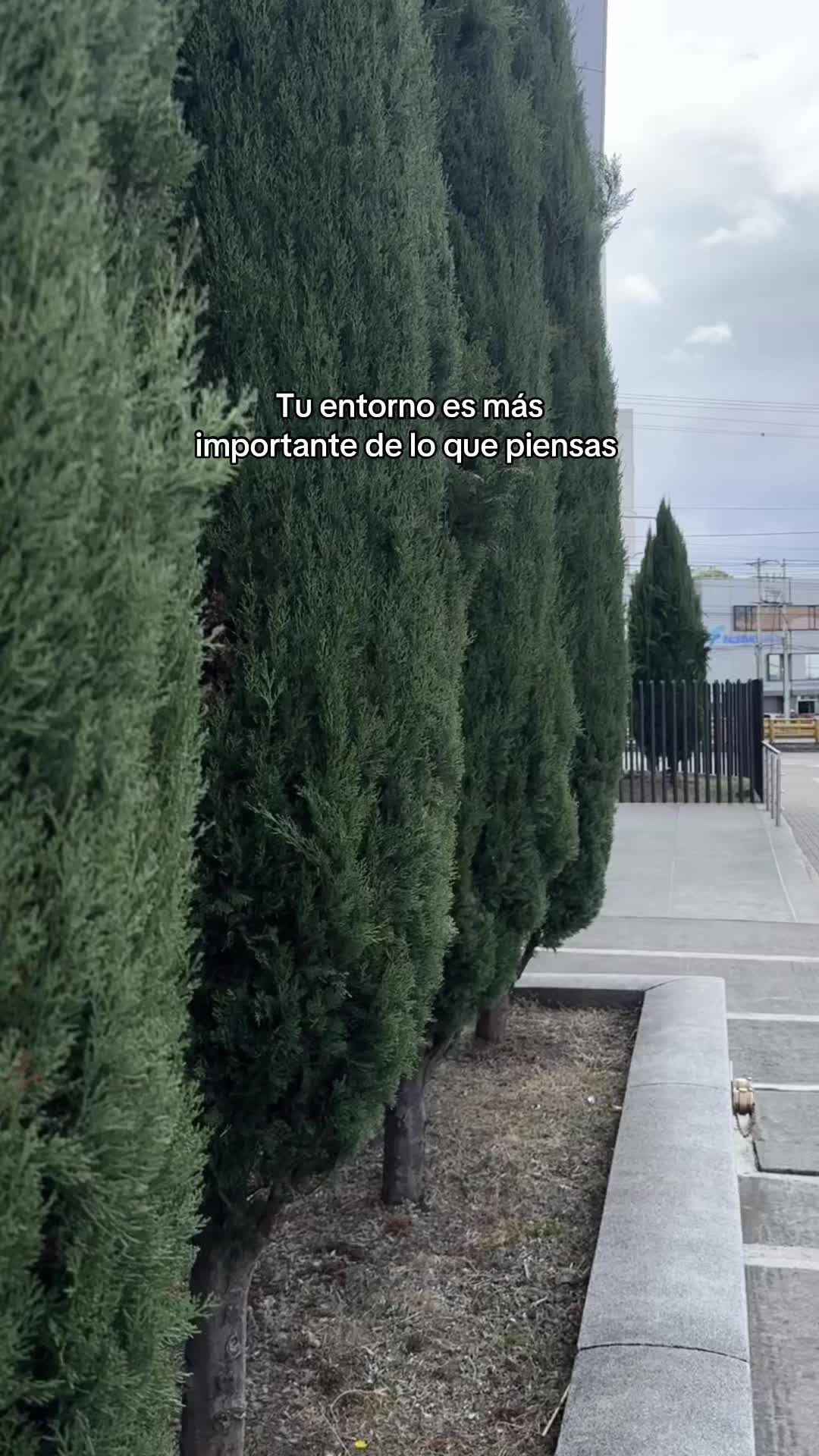 @️Julian
