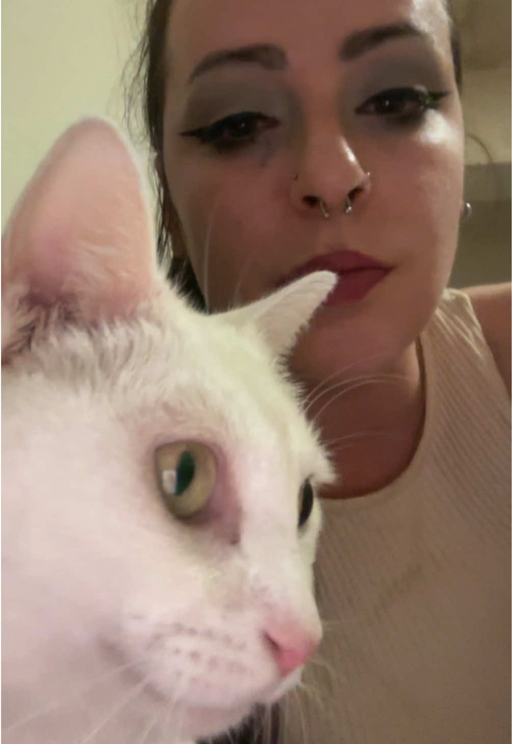 @𝕽𝖆𝖖𝖚𝖊𝖑 🐺